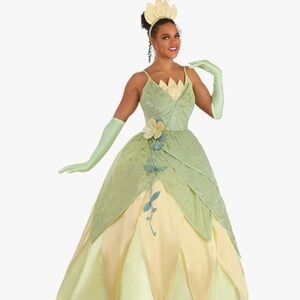 Disney Princess Tiana and the Frog Deluxe costume